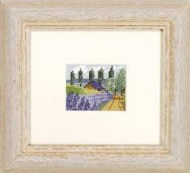 Lavenderfield 13-2354